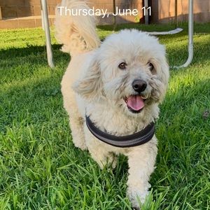 Meet your Posher, Dayna